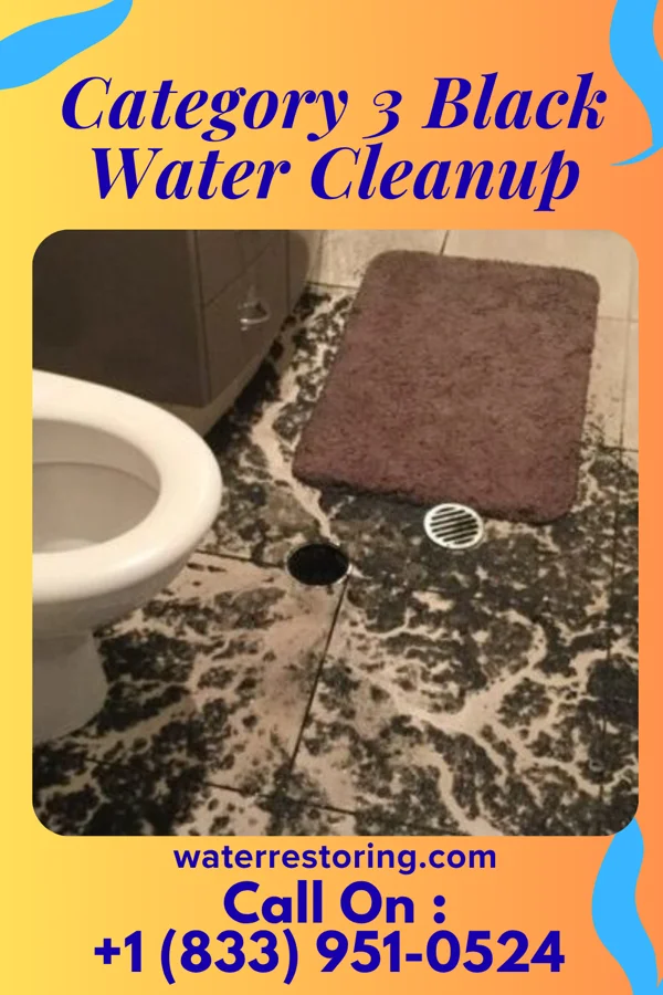 Category 3 Black Water Cleanup in Clarksburg, MO
