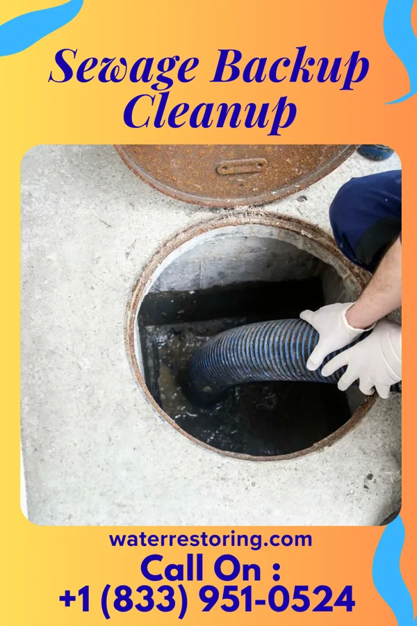 Sewage Backup Cleanup in Clarksburg, MO